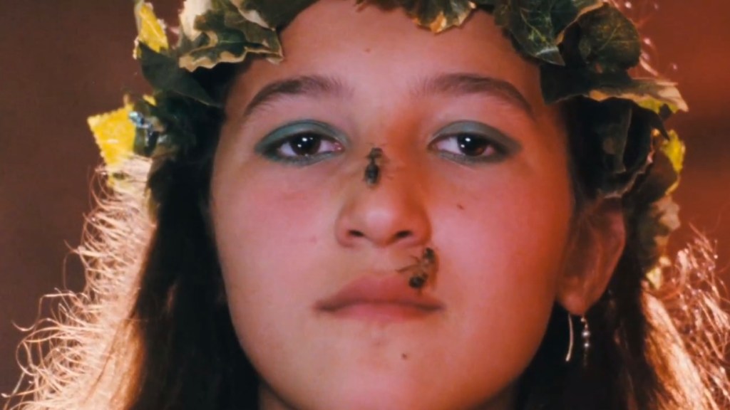 Le Meraviglie, The Wonders