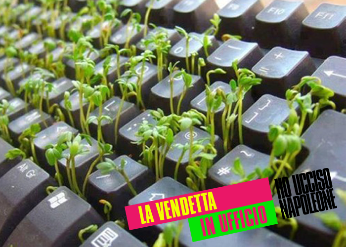 14042_1611084869114645_5919011667511304070_n