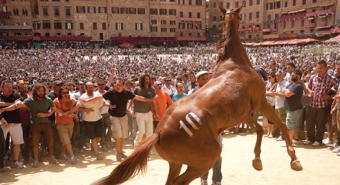Palio