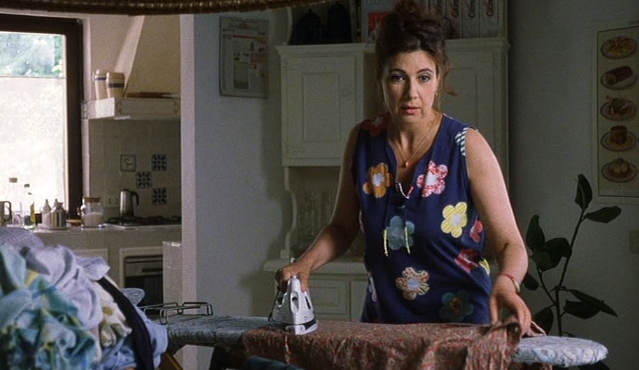 FILM-panetulipani-stira-in-casa