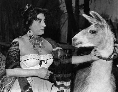 THE GOLDEN COACH, (aka LE CARROSSE D'OR), Anna Magnani, 1953