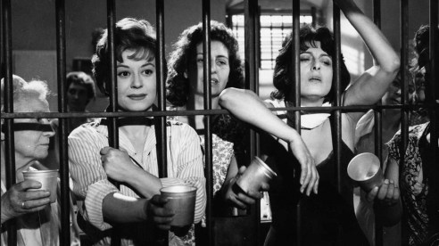 And The Wild Women