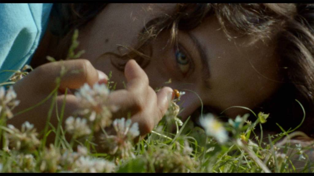 Migliori Opere Prime: Best New Works, The&nbsp;Also-Rans